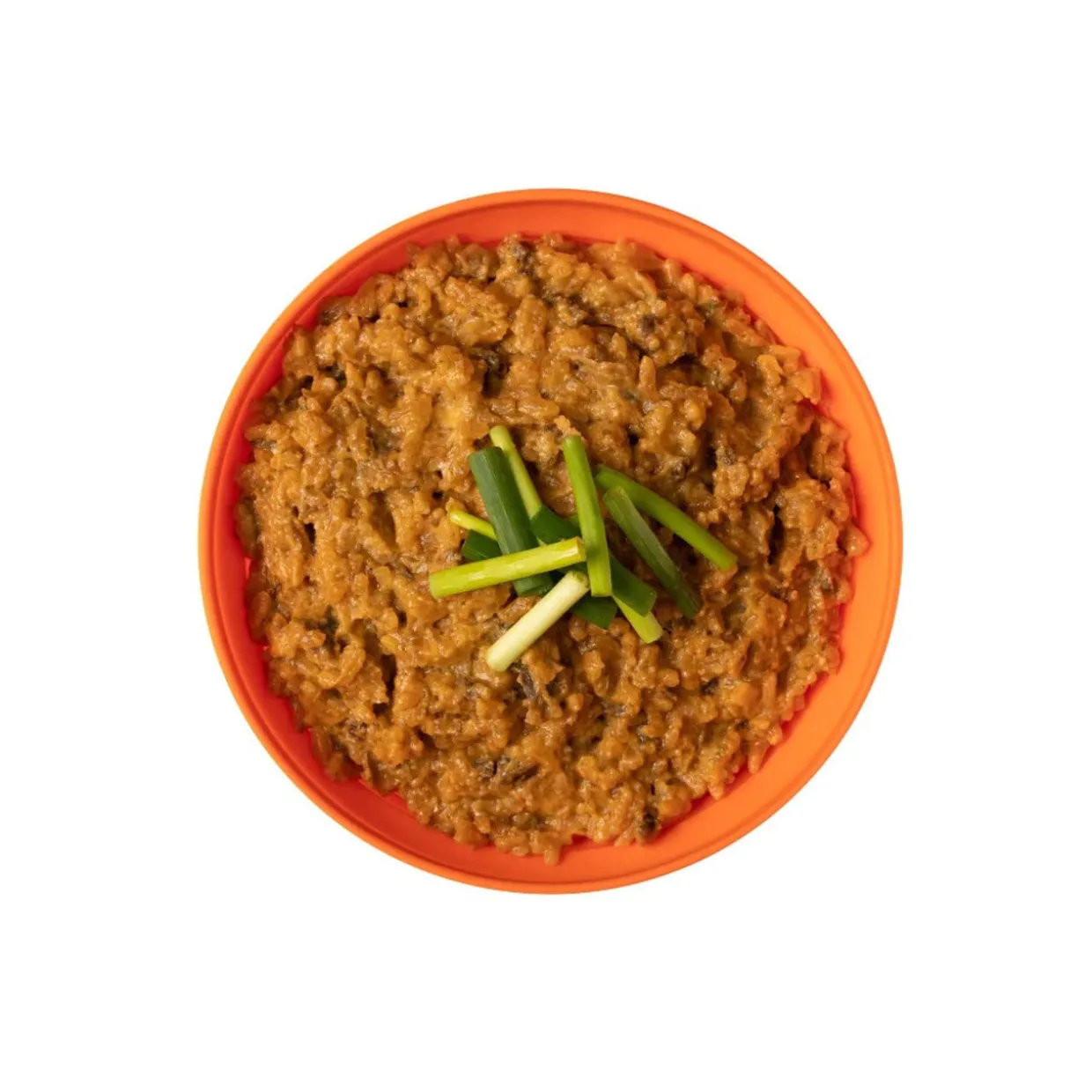 Beef Stroganoff with Rice (High Energy Serving)