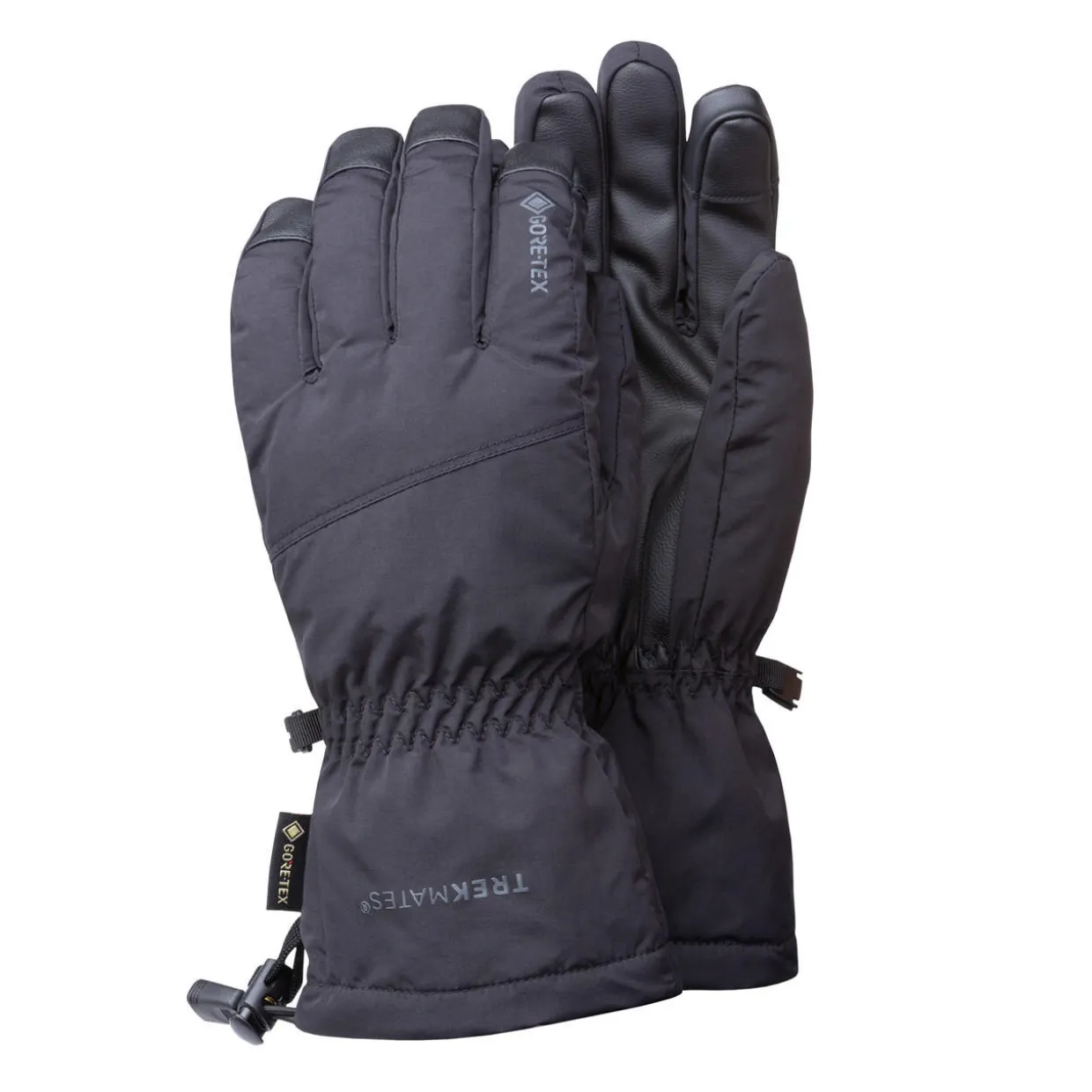 Chamonix Gore-Tex Gloves