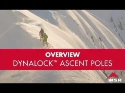 DynaLock Ascent Carbon Poles