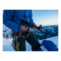 DynaLock Ascent Carbon Poles