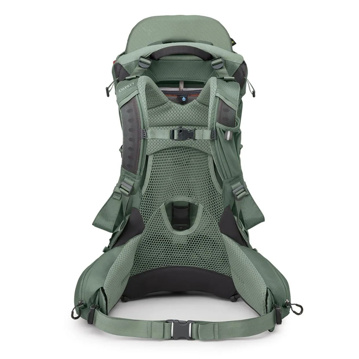 Poco Premium Child Carrier with Raincover