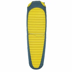 Synergy Lite Sheet