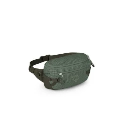 Transporter Waist Pack