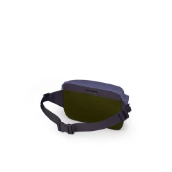 Transporter Waist Pack