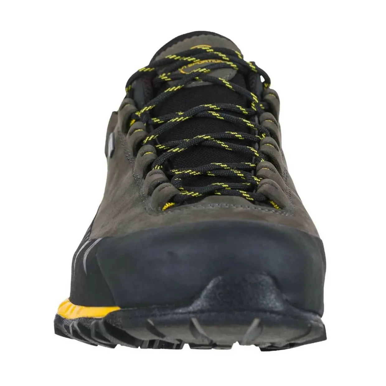 TX5 Low GTX