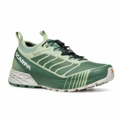 Womens Ribelle Run GTX
