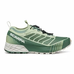 Womens Ribelle Run GTX