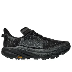 Womens Speedgoat 6 GTX