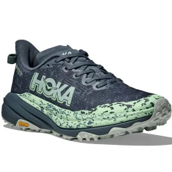 Womens Speedgoat 6 GTX - Past Season Colours